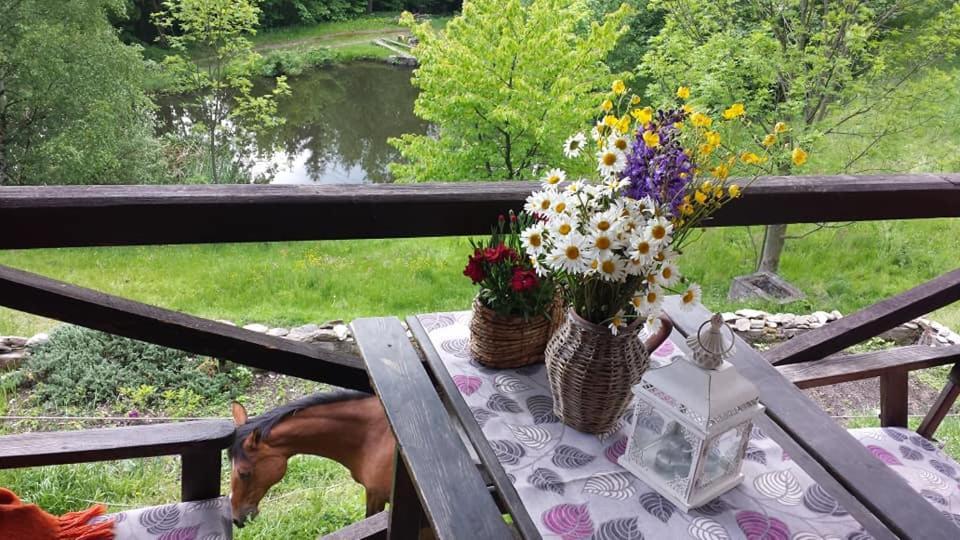 Agroturystyka Pod Swierkiem Srebrna Góra Exterior foto